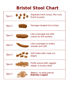 Bristol_stool_chart.svg